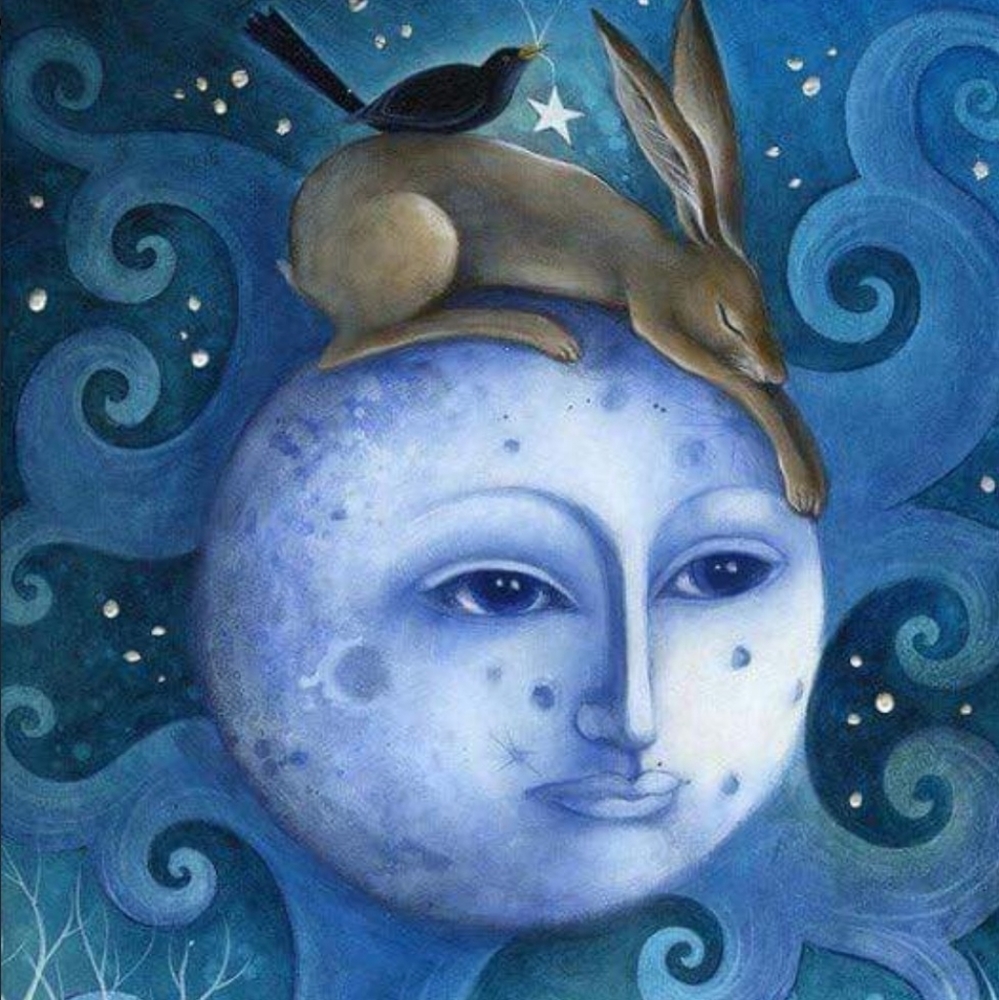 Meet your Posher, Deb